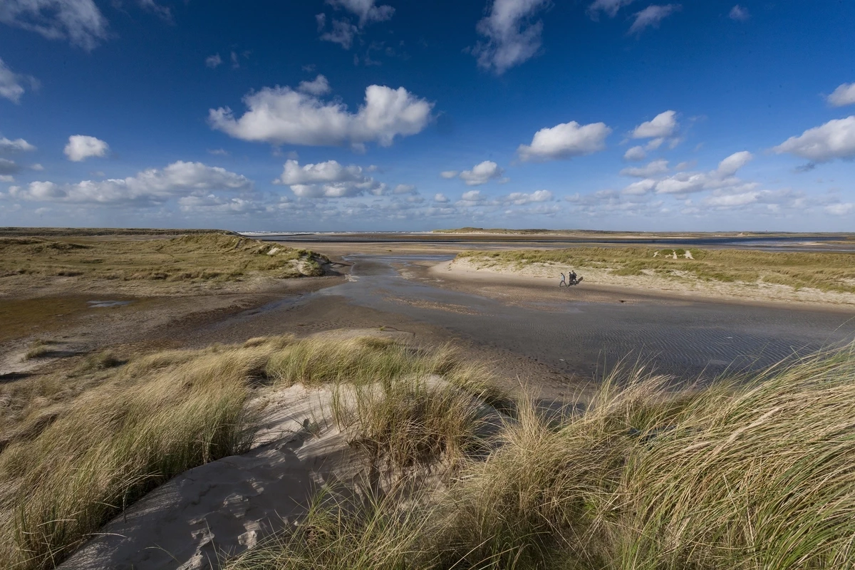 Landal Ameland State-