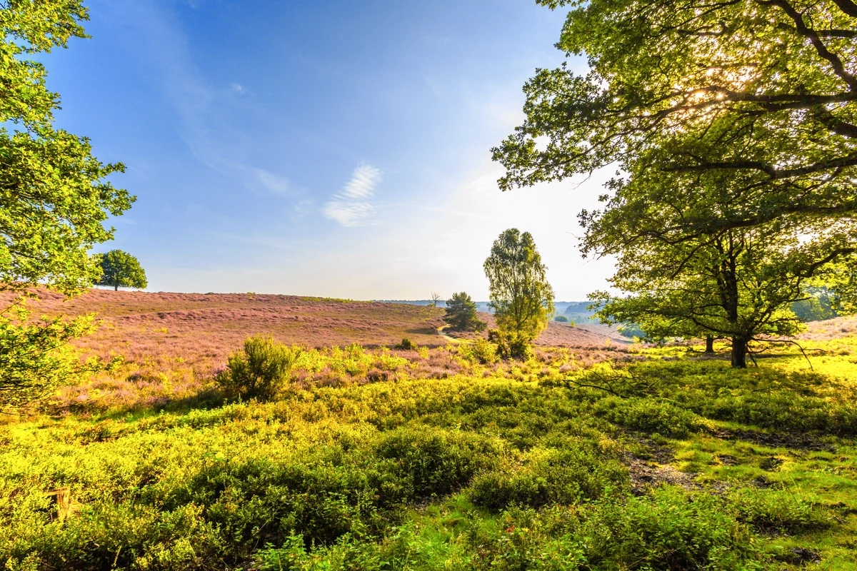 Landal Rabbit Hill