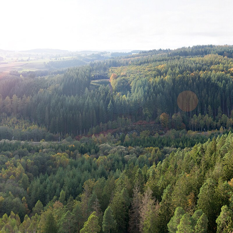 Center Parcs Les Ardennes-