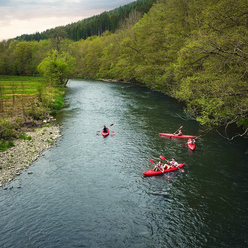 Center Parcs Les Ardennes-