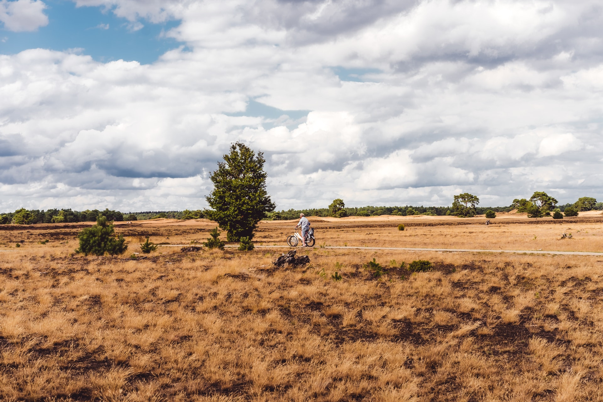 Bospark De Schaapskooi-