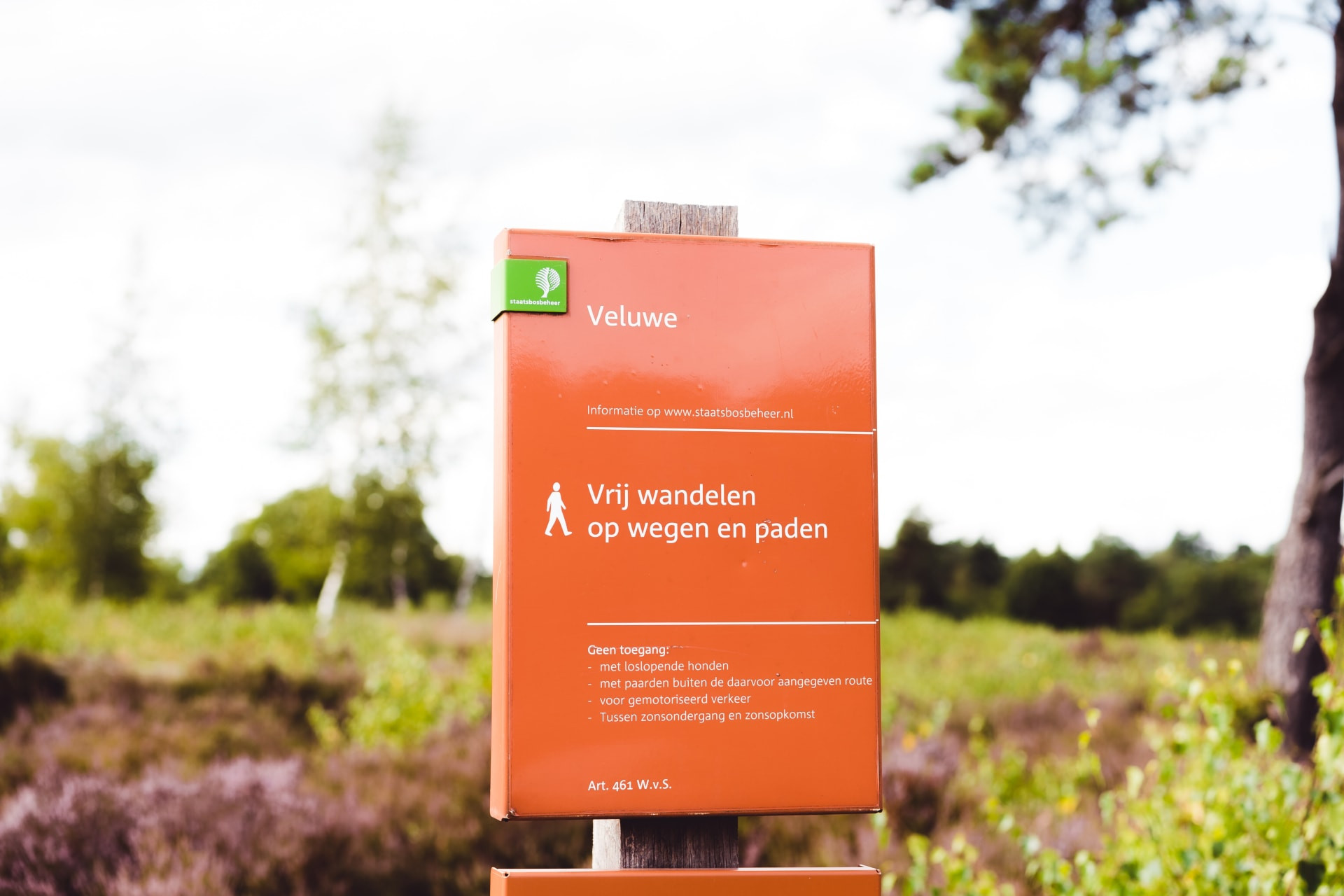 Bospark De Schaapskooi-