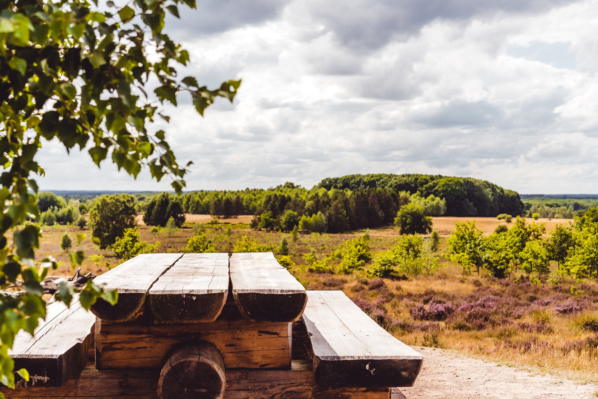 Bospark De Schaapskooi-