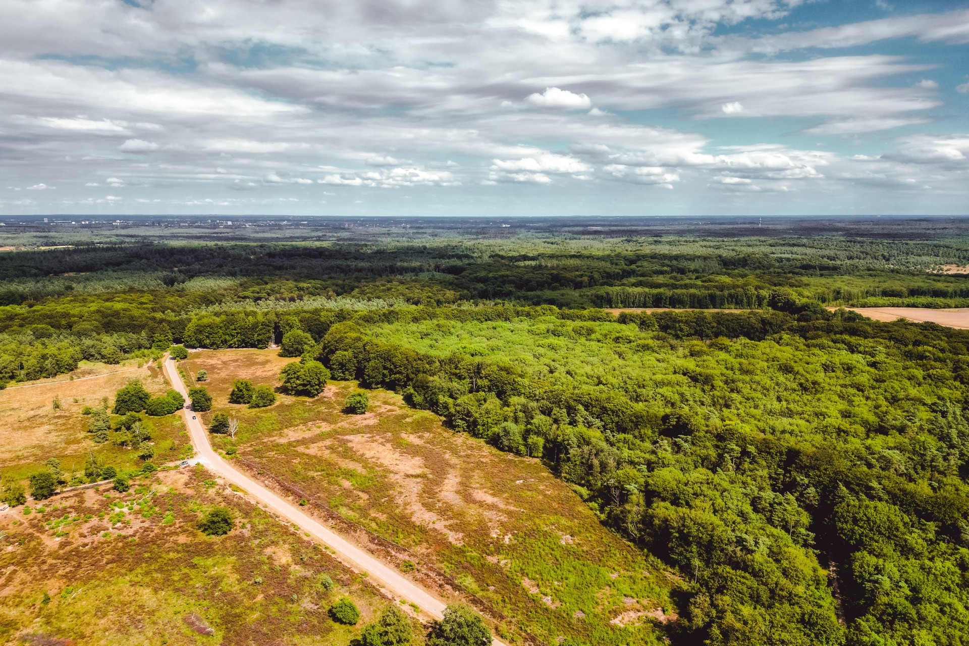 Bospark De Schaapskooi-