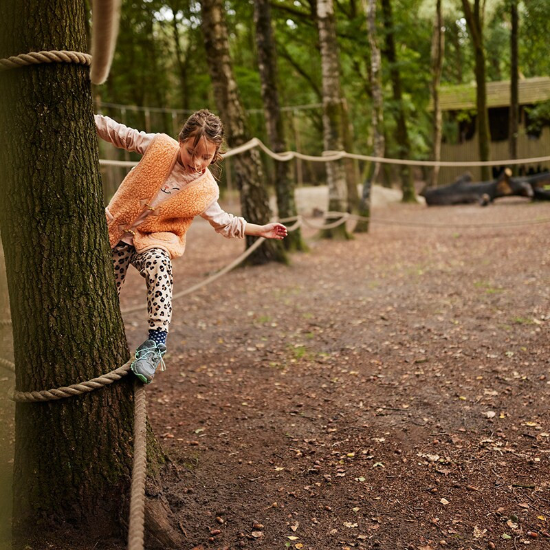 Center Parcs Het Meerdal-