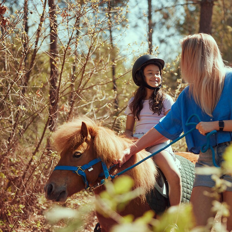 Center Parcs Het Meerdal-