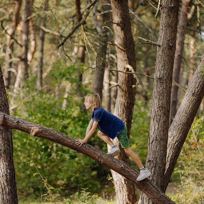 Center Parcs Het Meerdal-