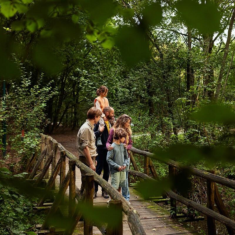 Center Parcs Het Meerdal-