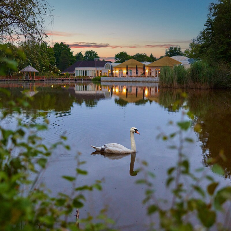 Center Parcs Limburgse Peel-