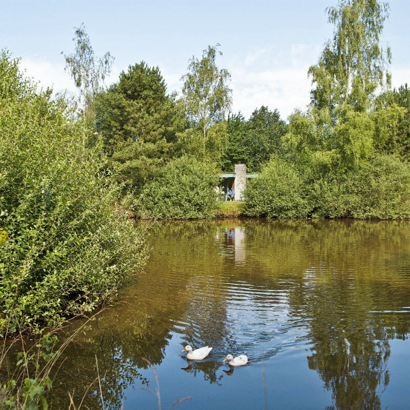 Center Parcs Limburgse Peel-