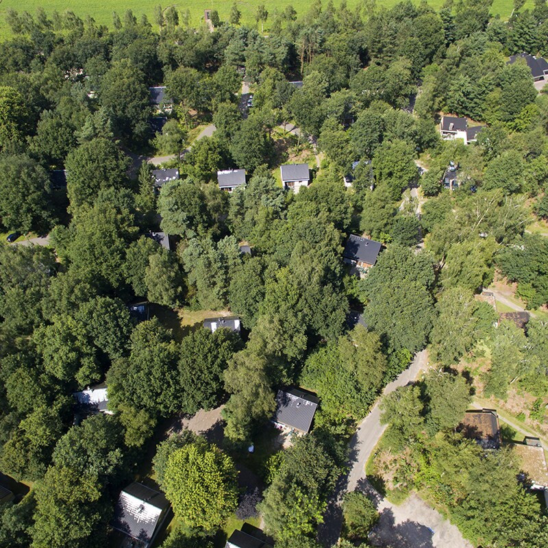 Center Parcs Limburgse Peel-