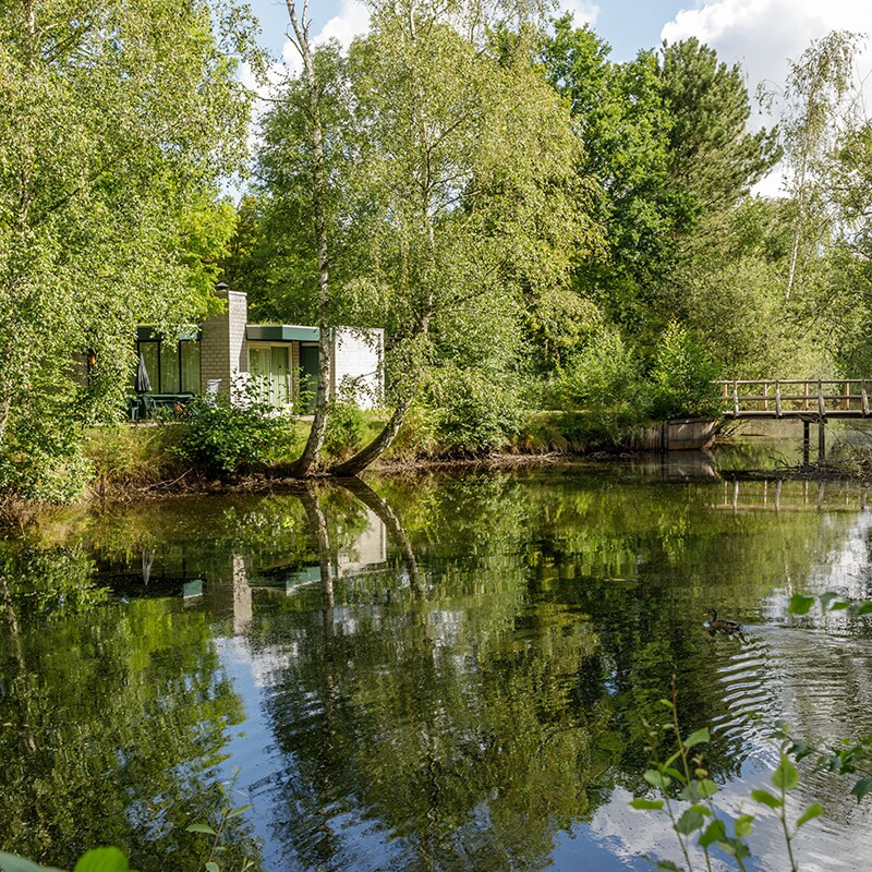 resort-grounds