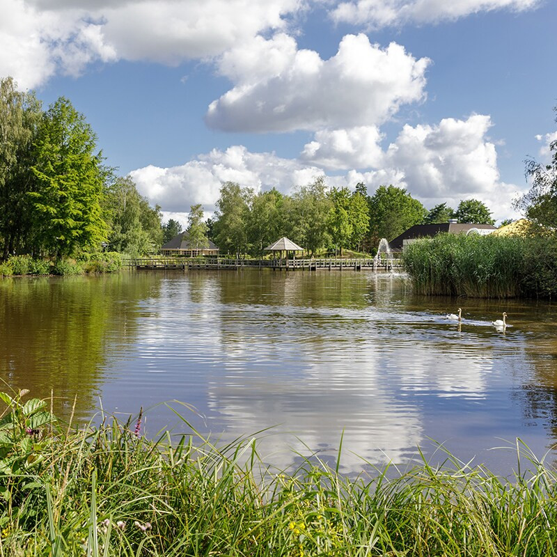 Center Parcs Limburgse Peel-
