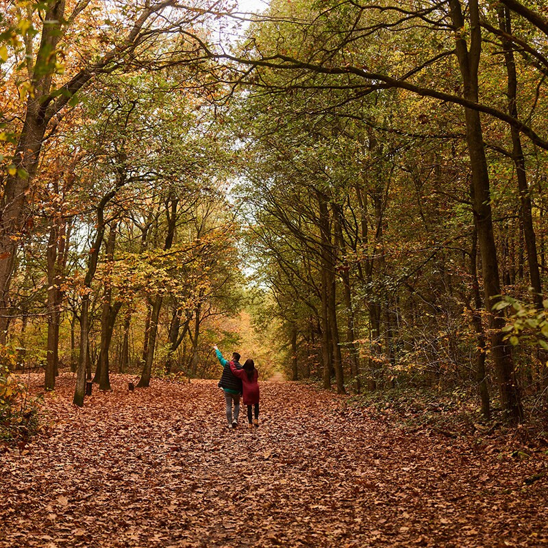 Center Parcs Het Heijderbos-