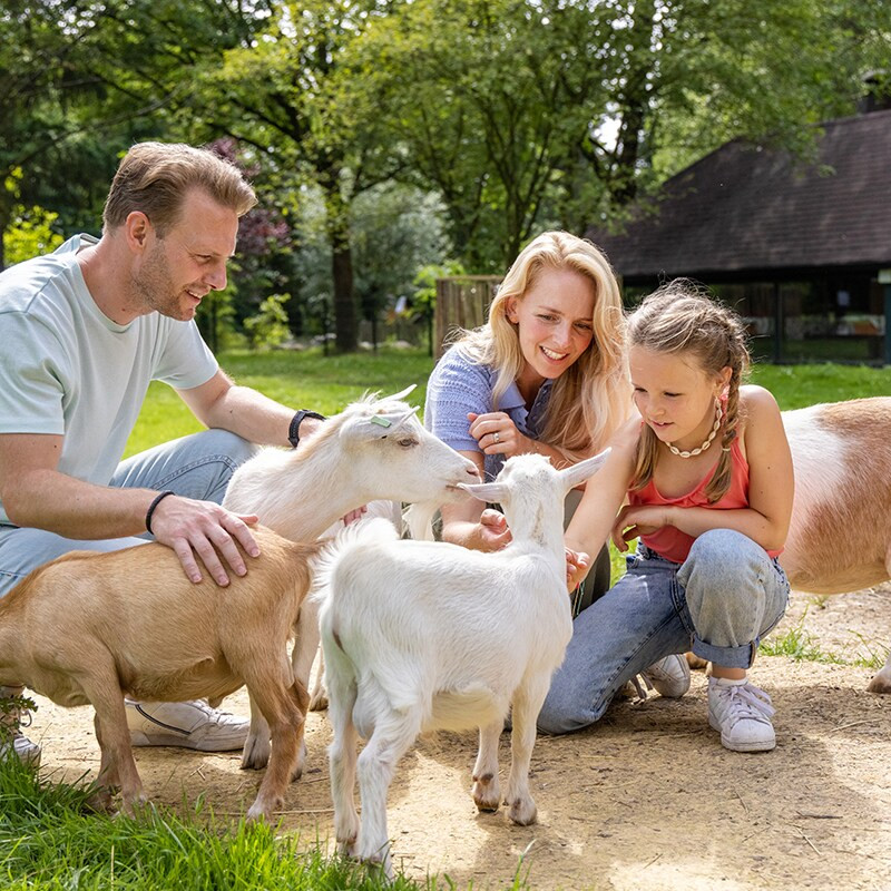 Center Parcs Het Heijderbos-