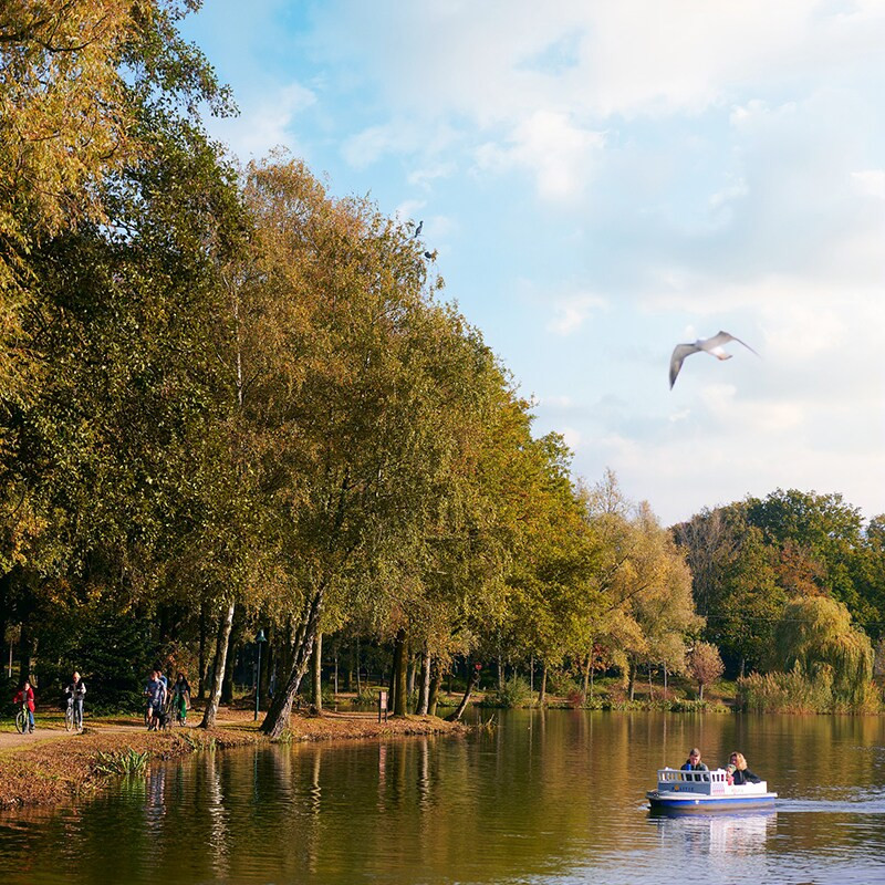 Center Parcs Het Heijderbos-
