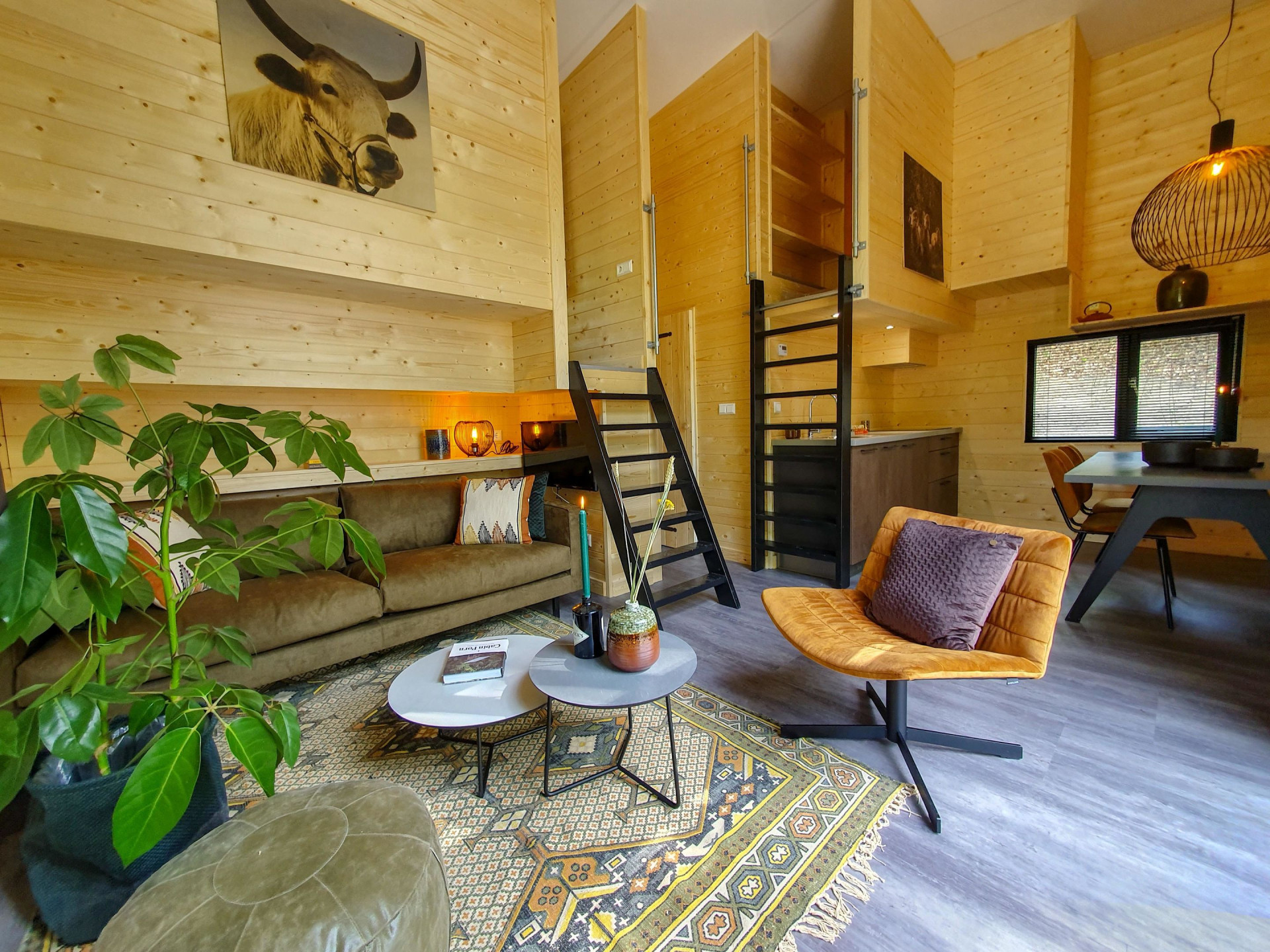 EuroParcs Maasduinen-