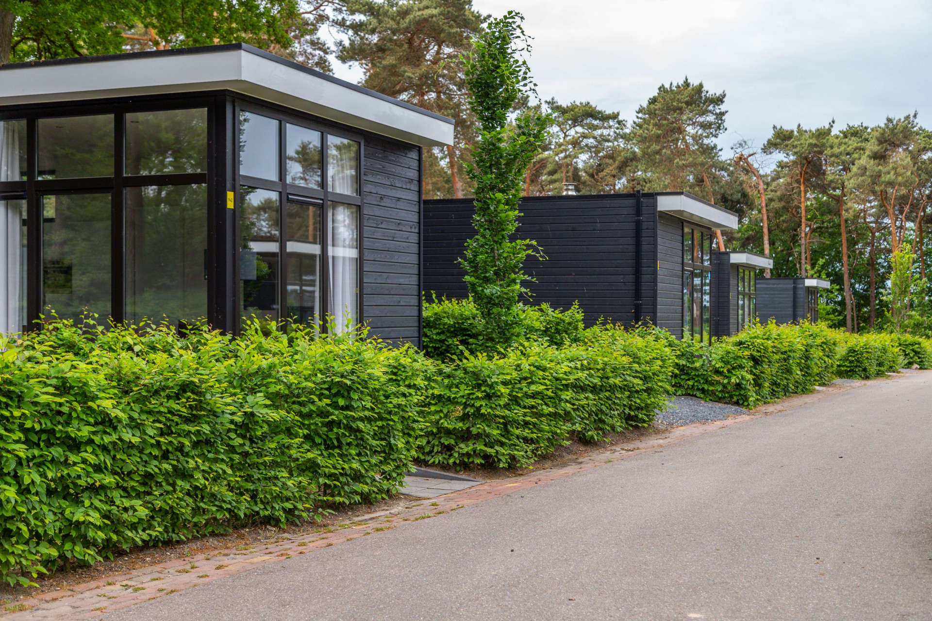 EuroParcs Maasduinen-