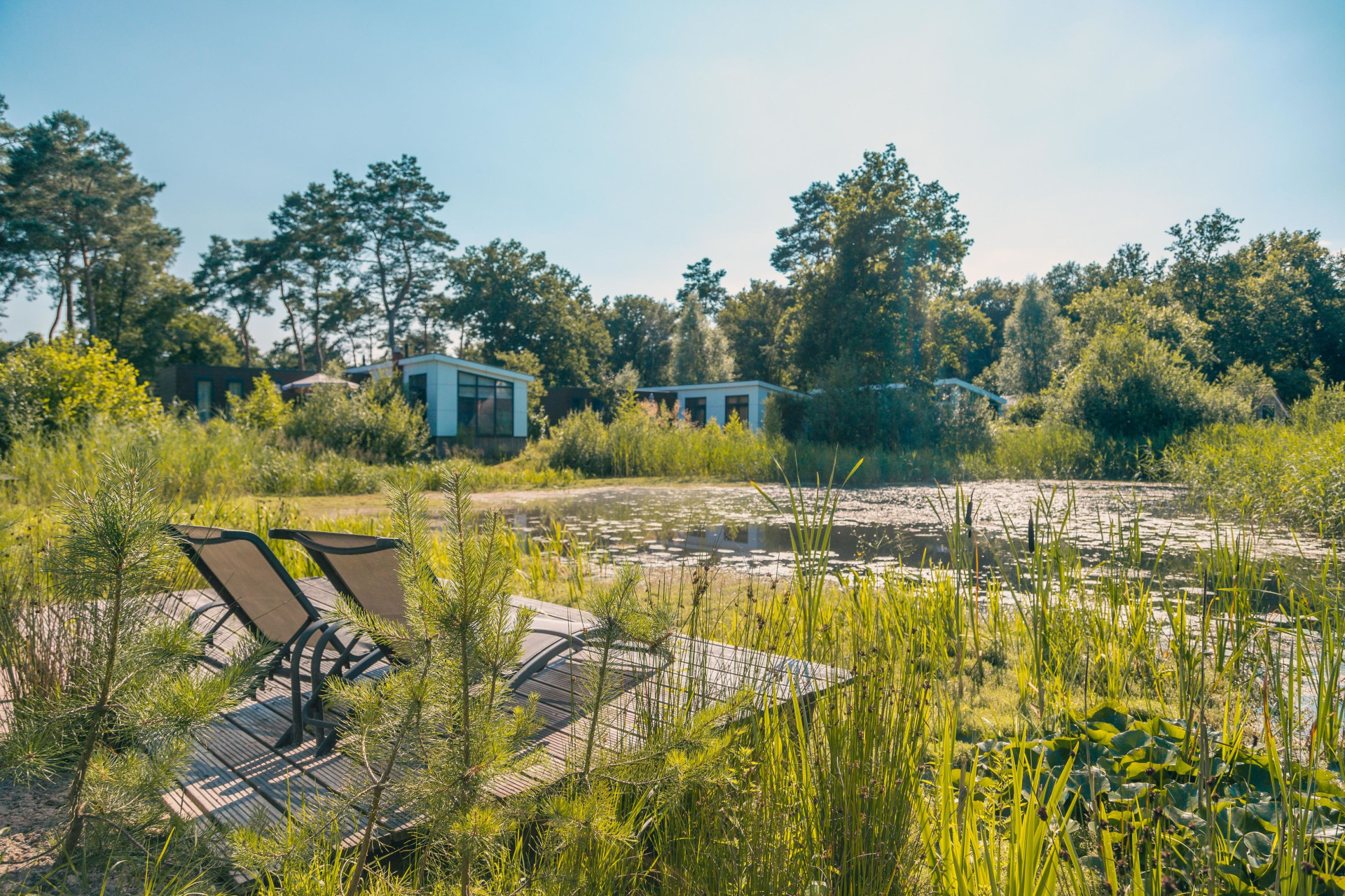 EuroParcs Reestervallei-
