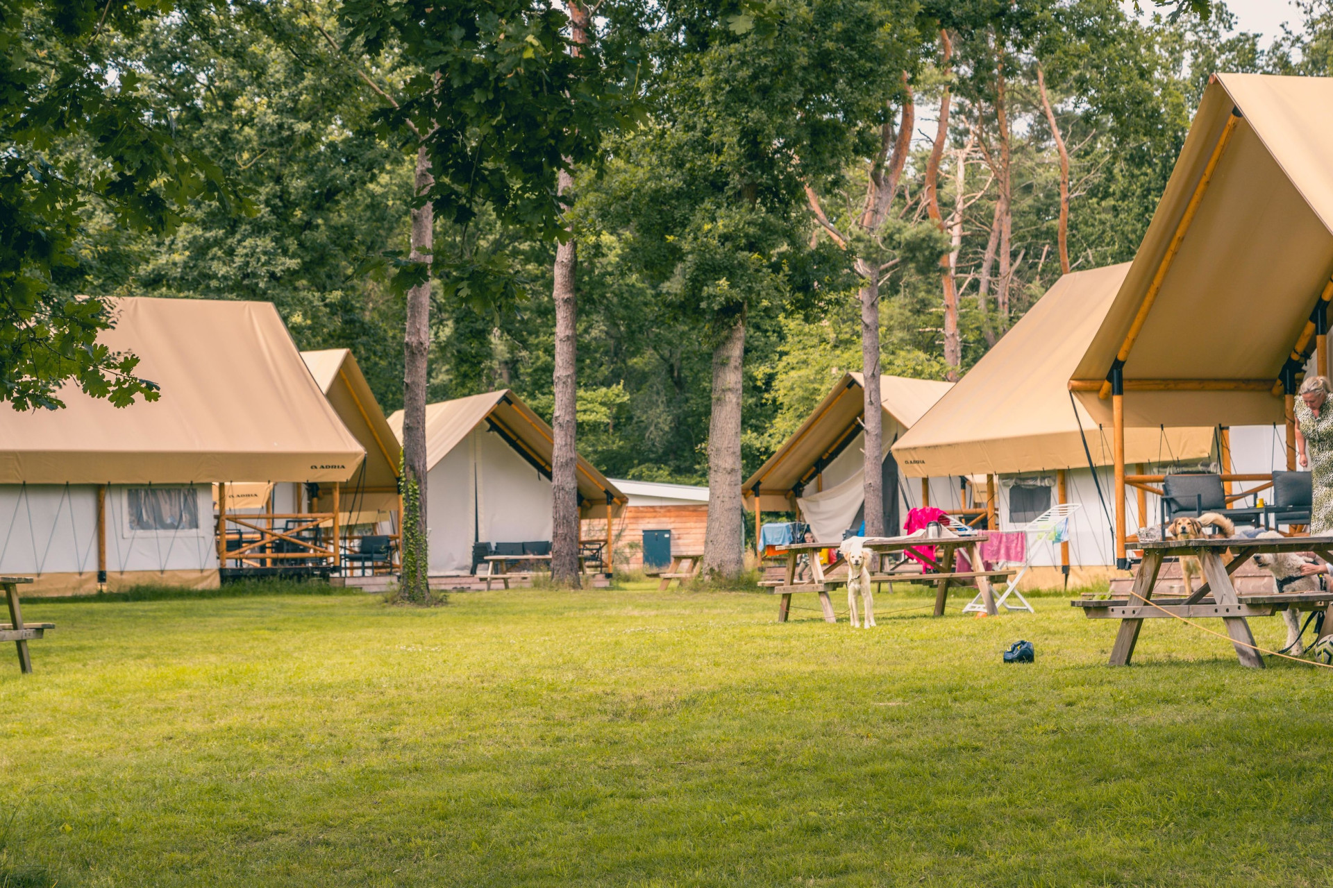 EuroParcs Reestervallei-