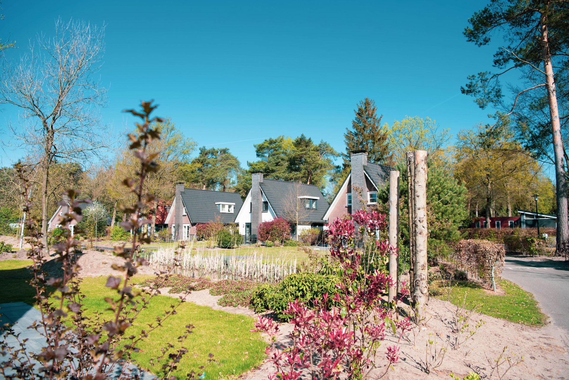 EuroParcs De Achterhoek-