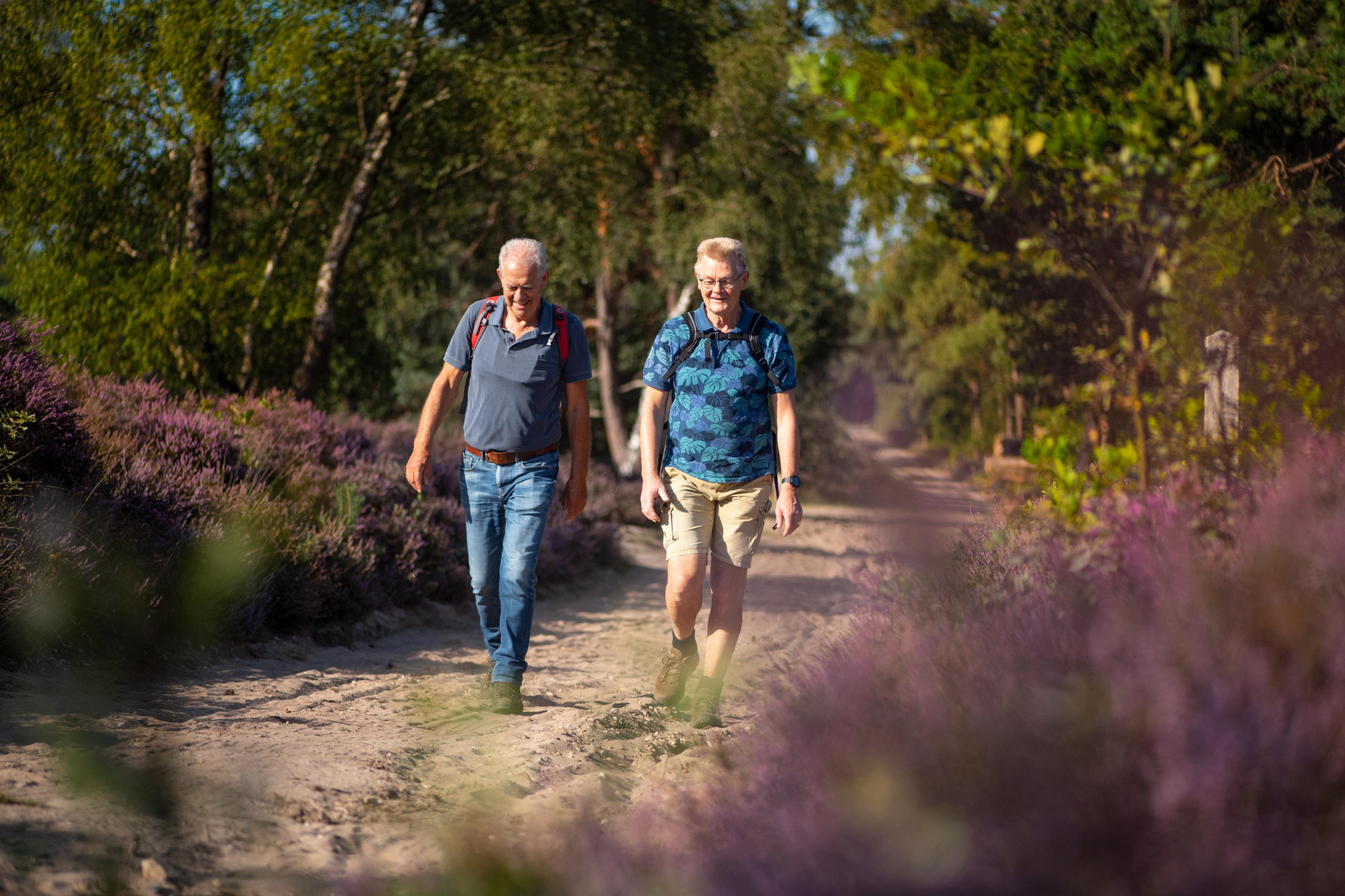 Vakantiepark Hölte - In de buurt