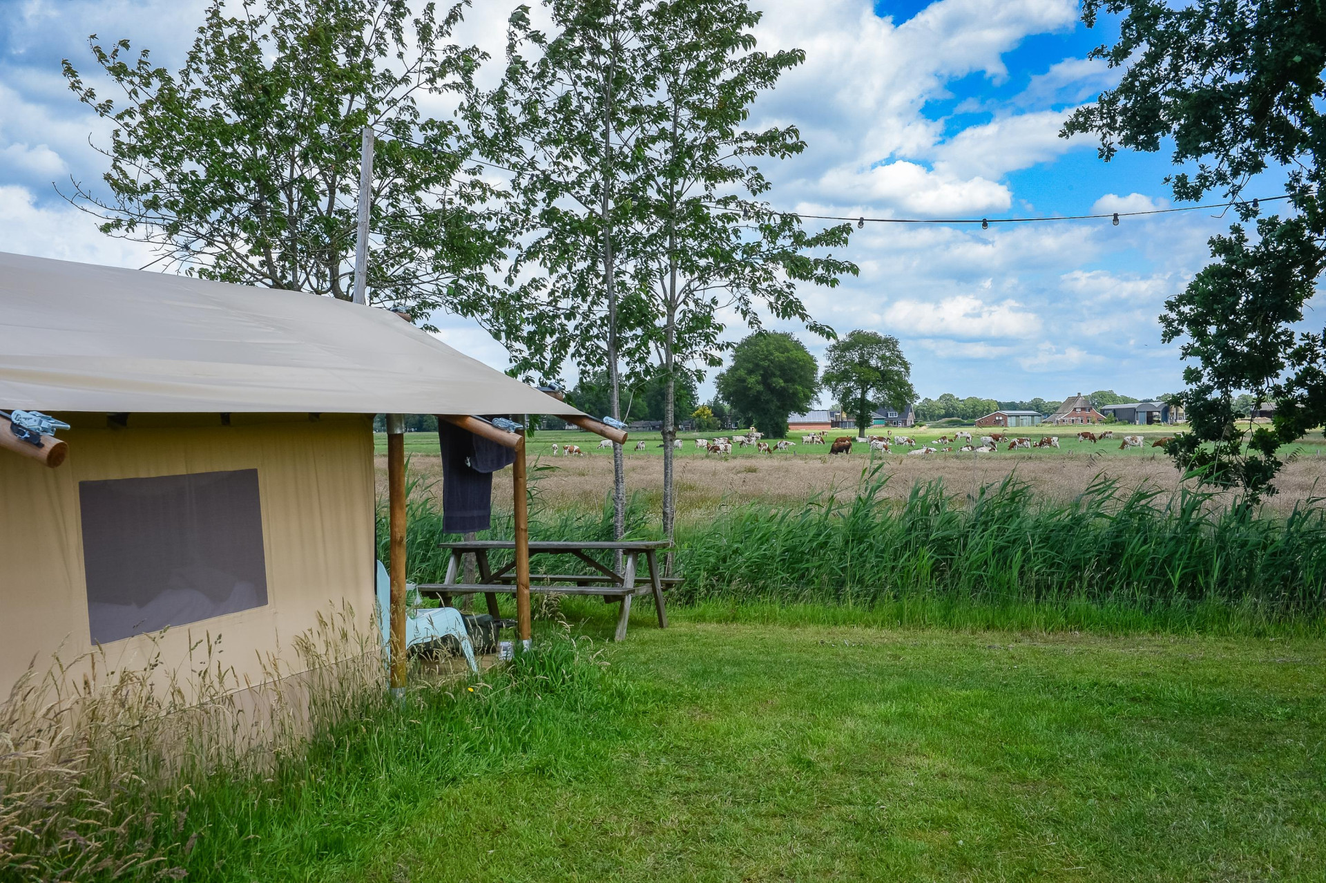 Vakantiepark Mölke - Accommodatie