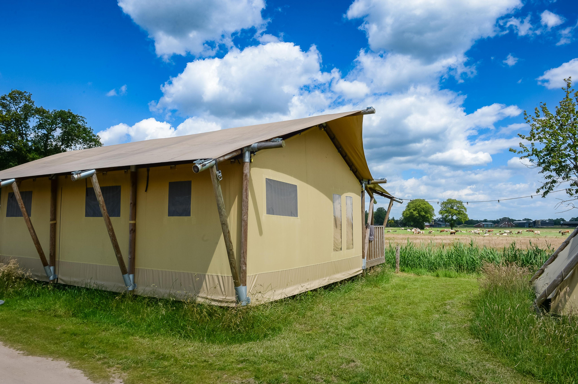 Vakantiepark Mölke - Accommodatie