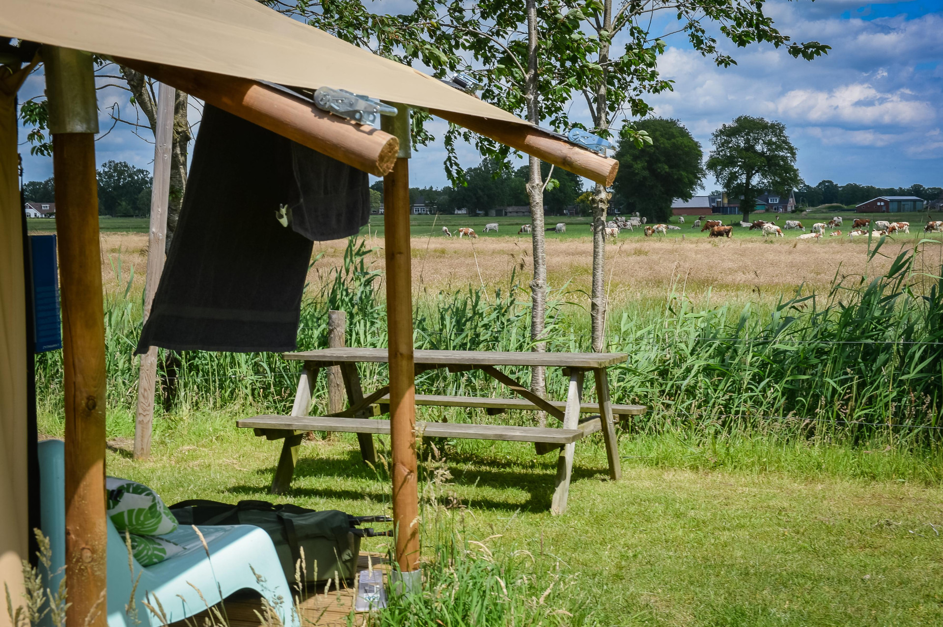 Vakantiepark Mölke - Accommodatie