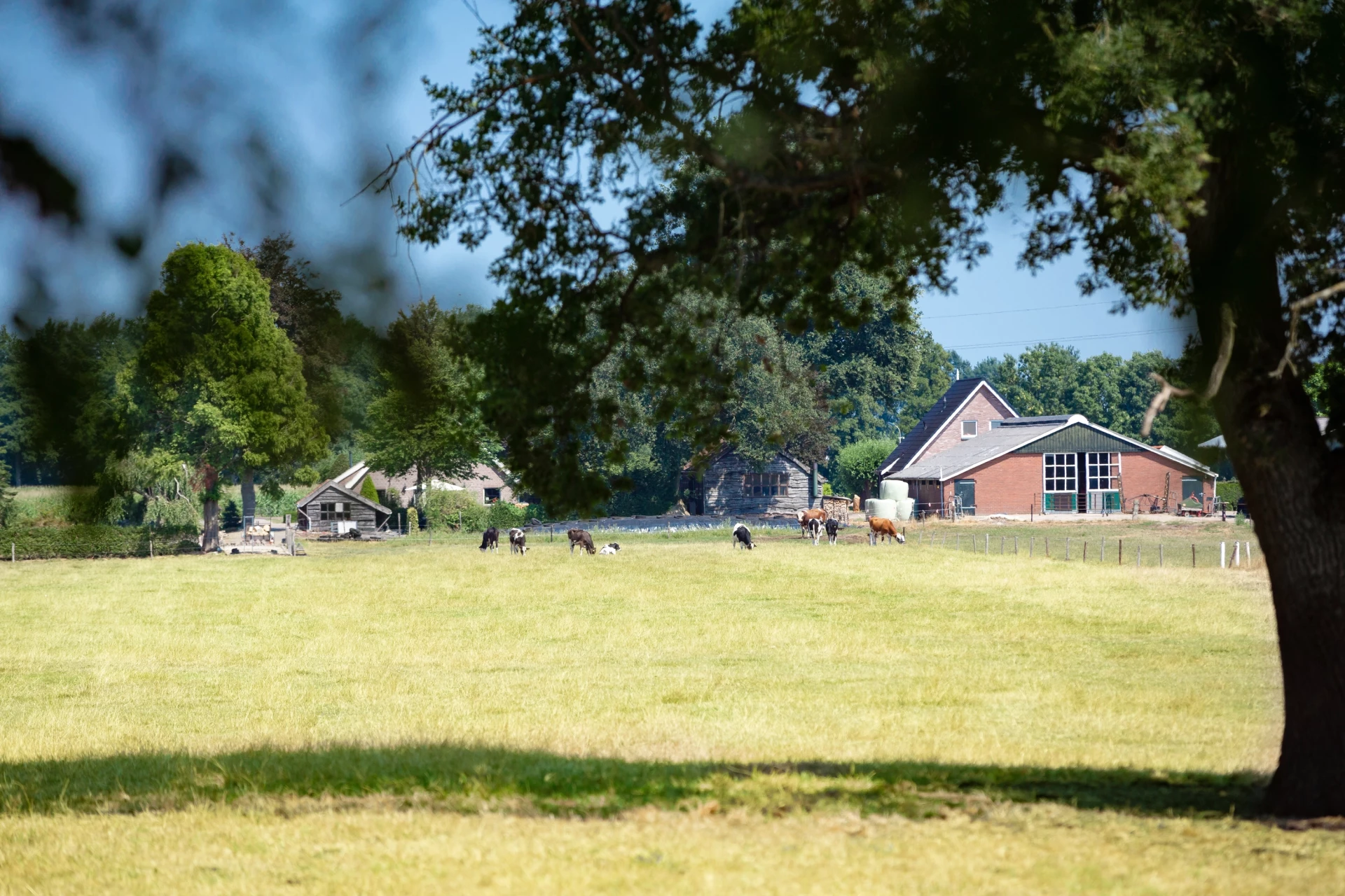 Recreatiepark De Tolplas-