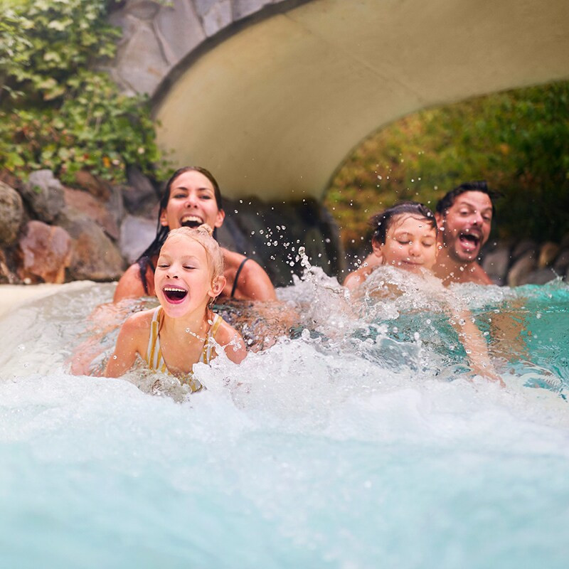 Center Parcs De Huttenheugte-