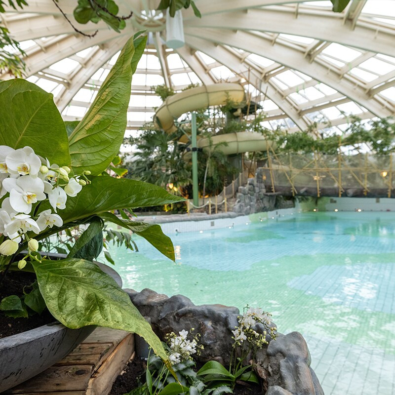 Center Parcs De Huttenheugte-