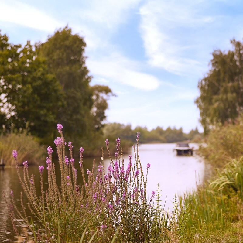 Center Parcs Sandur-