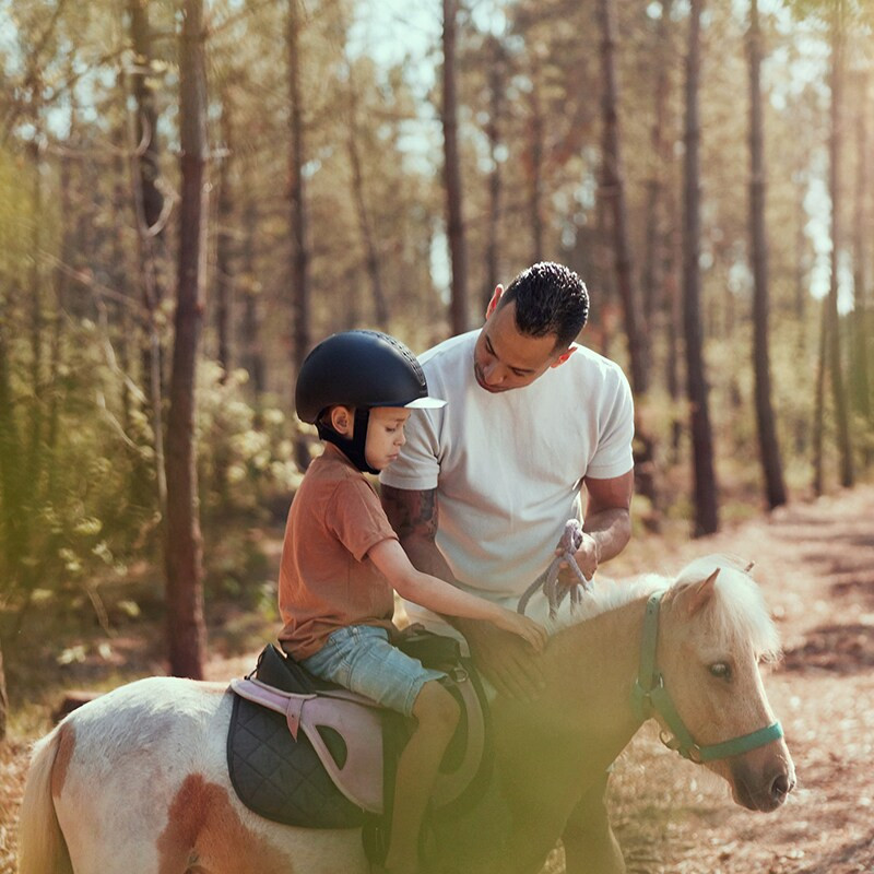 Center Parcs Sandur-