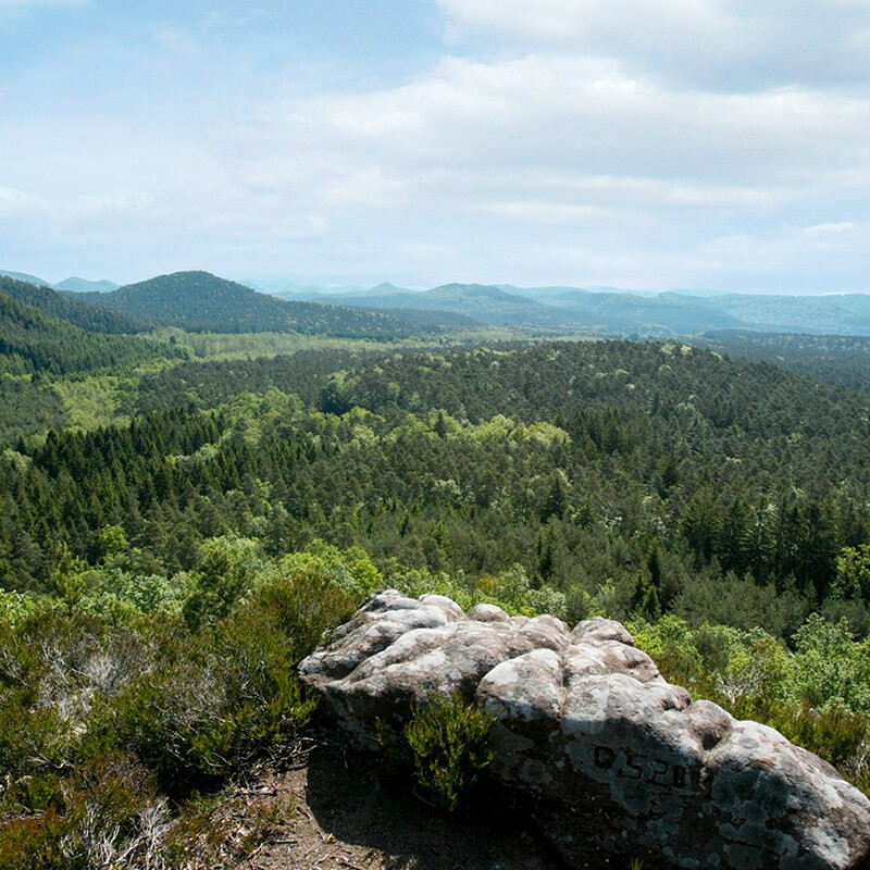 Center Parcs Moselle Les Trois Forêts-