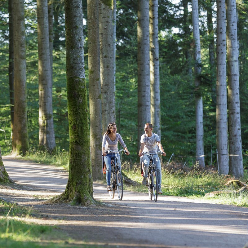 Center Parcs Moselle Les Trois Forêts-