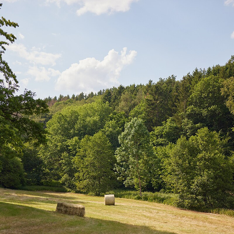 Center Parcs Eifel-