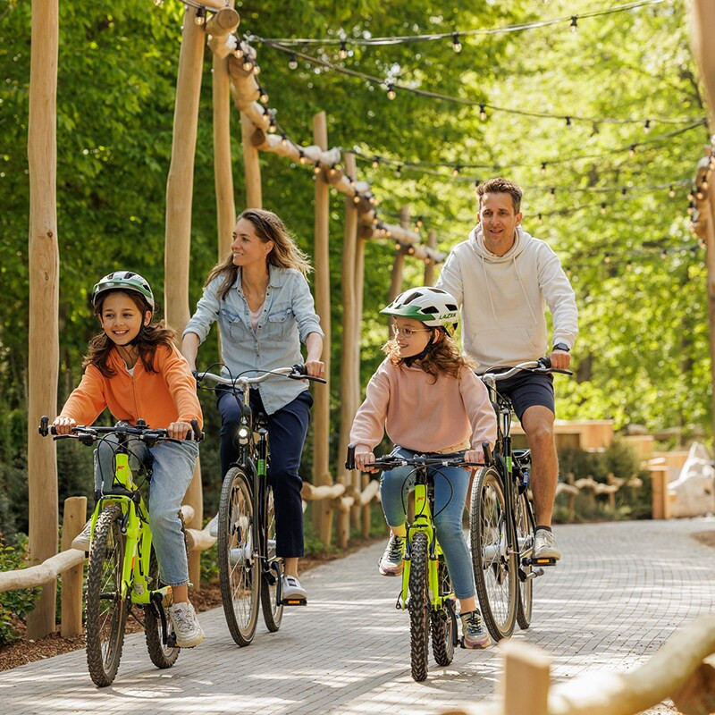 Center Parcs Eifel-