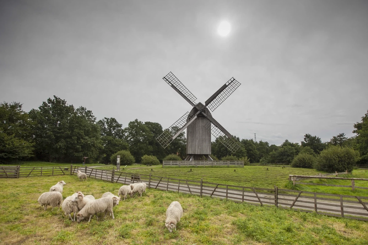 Landal Dwergter Sand-