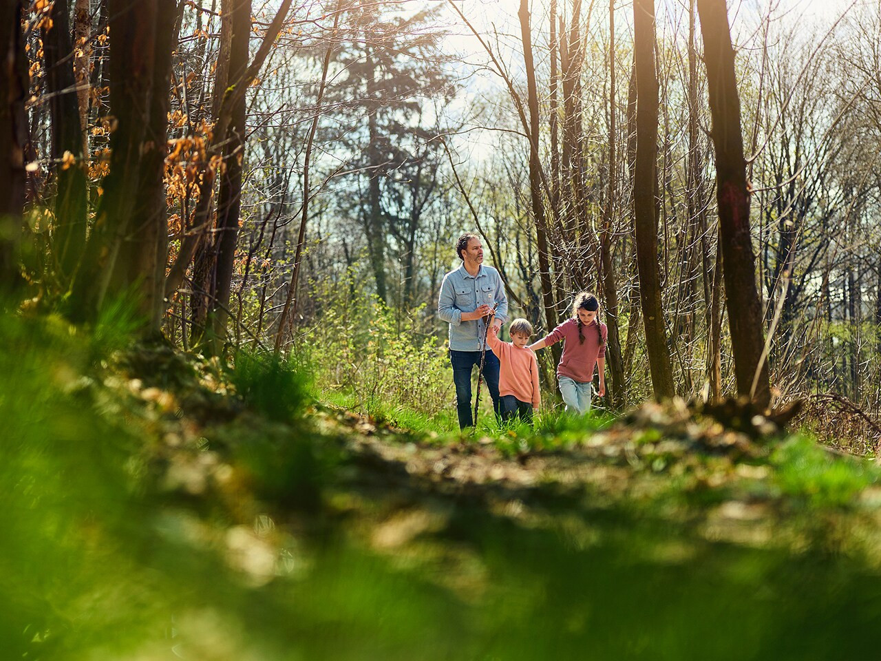 Center Parcs Hochsauerland-