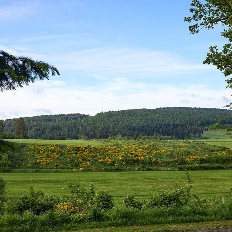 Center Parcs Hochsauerland-