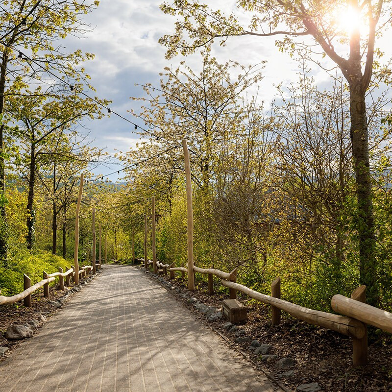 Center Parcs Hochsauerland-