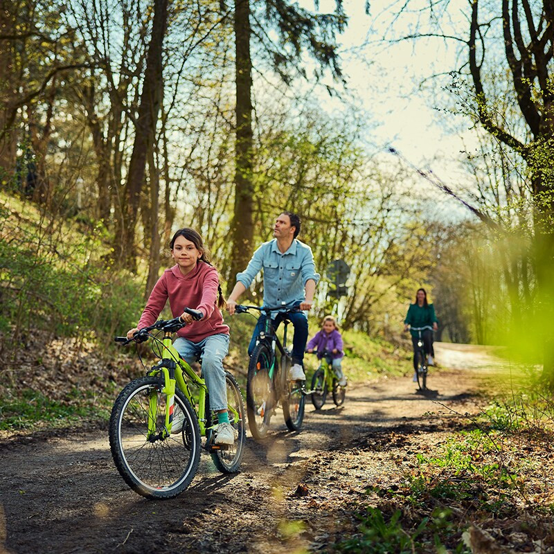 Center Parcs Hochsauerland-