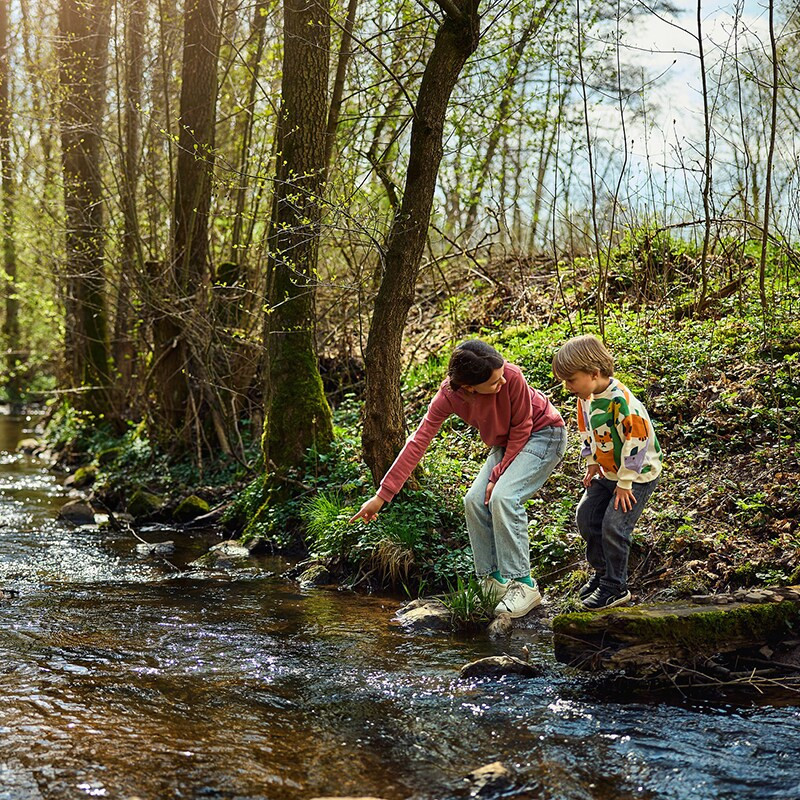 Center Parcs Hochsauerland-