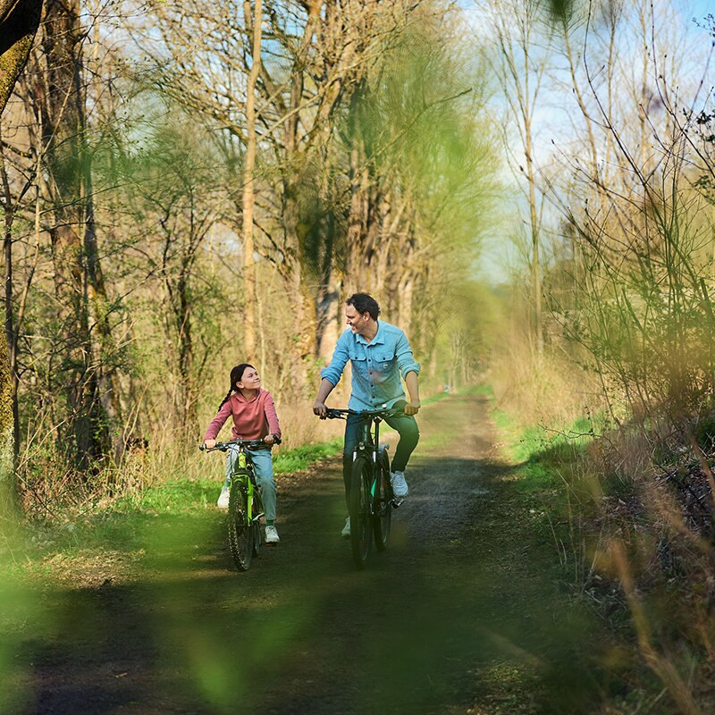 Center Parcs Hochsauerland-