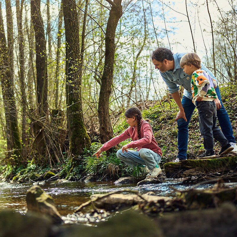 Center Parcs Hochsauerland-