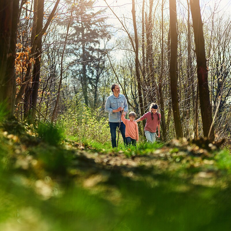 Center Parcs Hochsauerland-