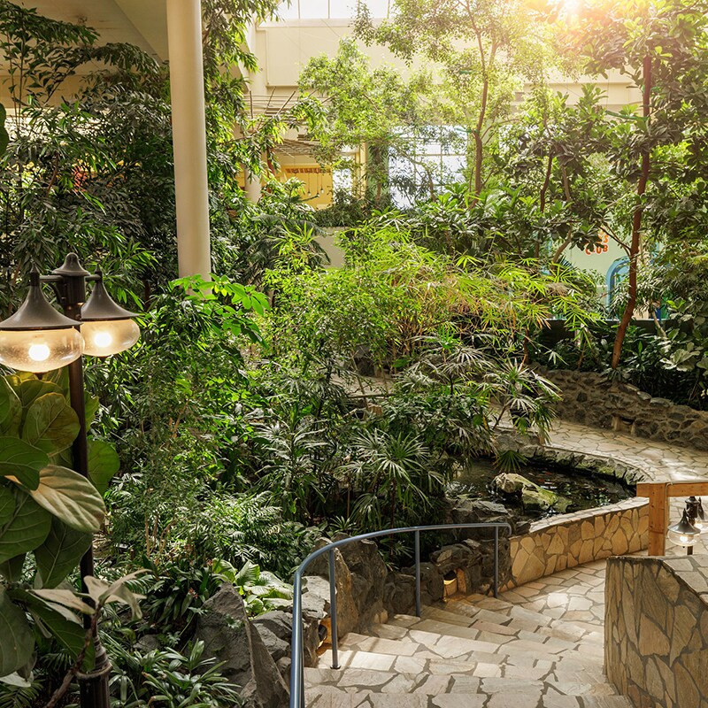 Center Parcs Hochsauerland-
