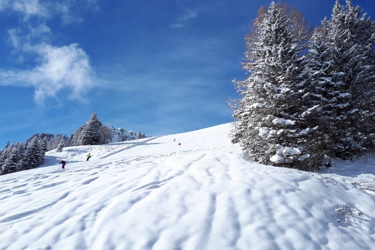 Landal Chalet Matin-