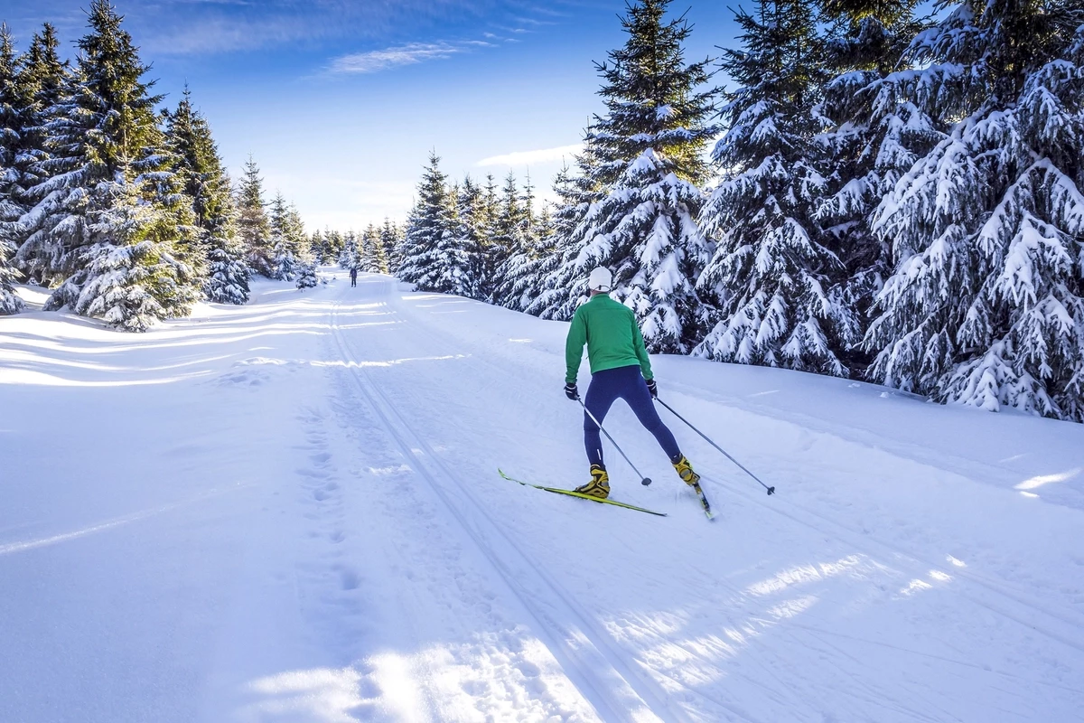 Landal Chalet Matin-
